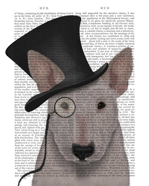 Stampa su tela Poster Fab Funky Bull Terrier, segugio formale e cappello Stravagante Verticale